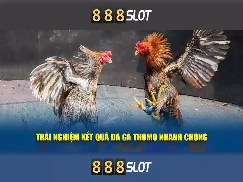 slot miễn phí - 888SLOT slot miễn phí - 888SLOT
