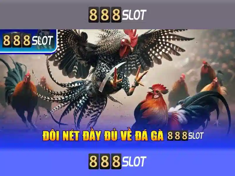 💎cage oiseau neo 888slot💎 💎cage oiseau neo 888slot💎